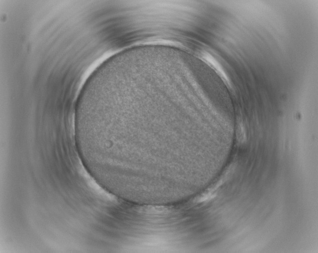 X0000088631092200706151911