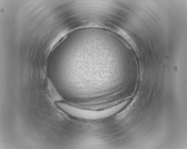 X0000088631097200706151911