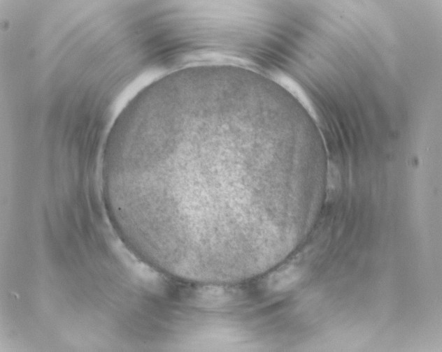 X0000088631098200706151911