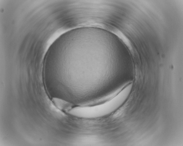 X0000088631102200706151911