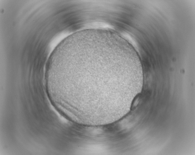 X0000088631103200706151911