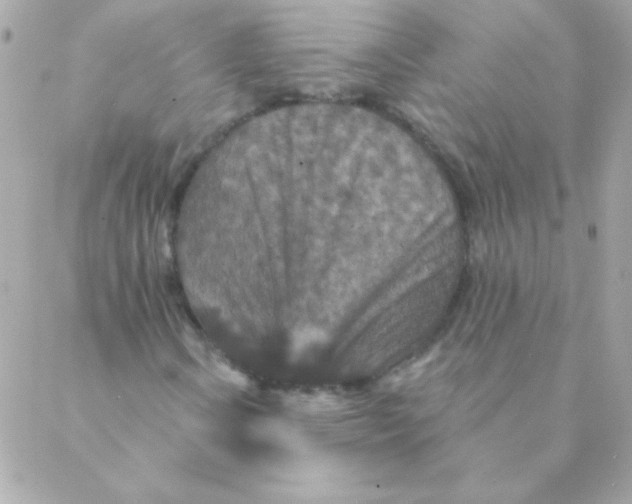 X0000088631106200706151910