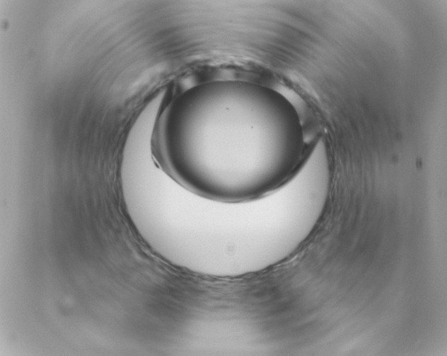 X0000088631110200706151910