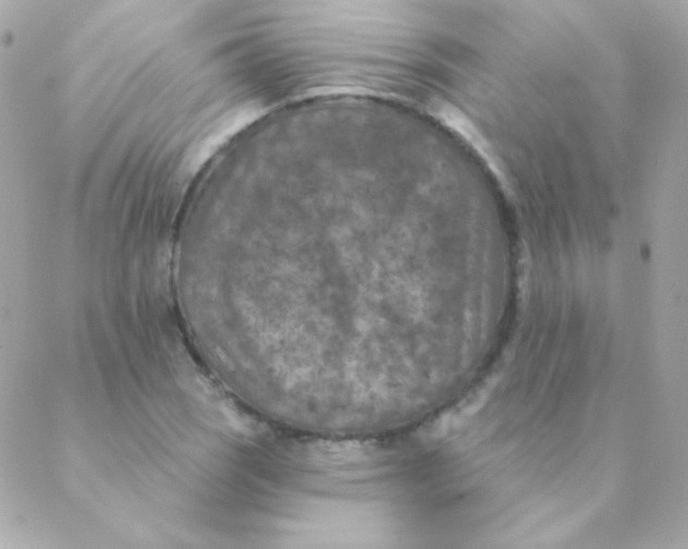 X0000088631121200706151910