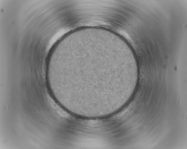 X0000088631122200706151910