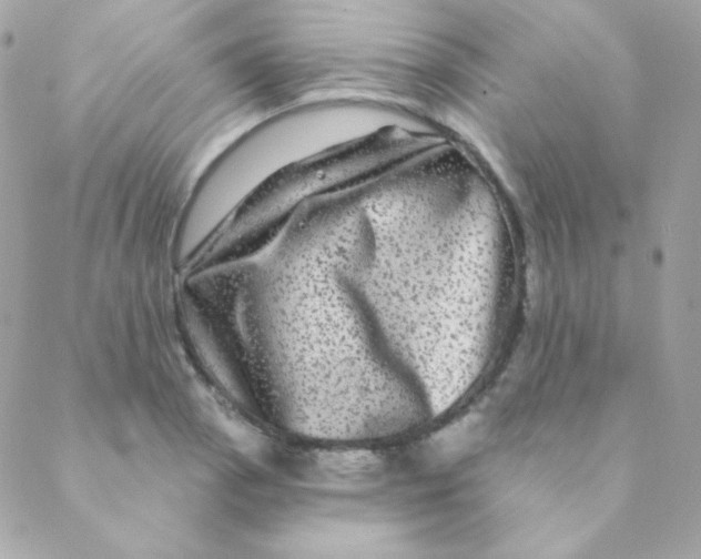 X0000088631129200706151910