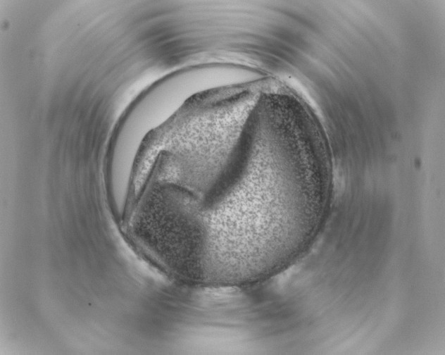 X0000088631133200706151910