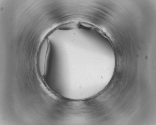 X0000088631134200706151910