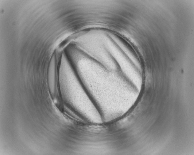 X0000088631137200706151910