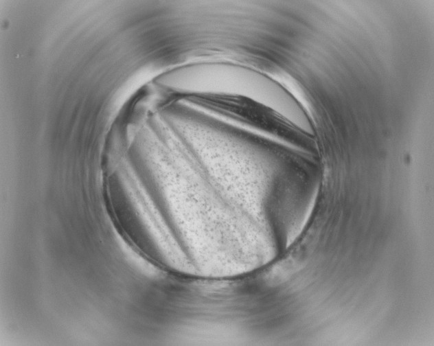 X0000088631143200706151911