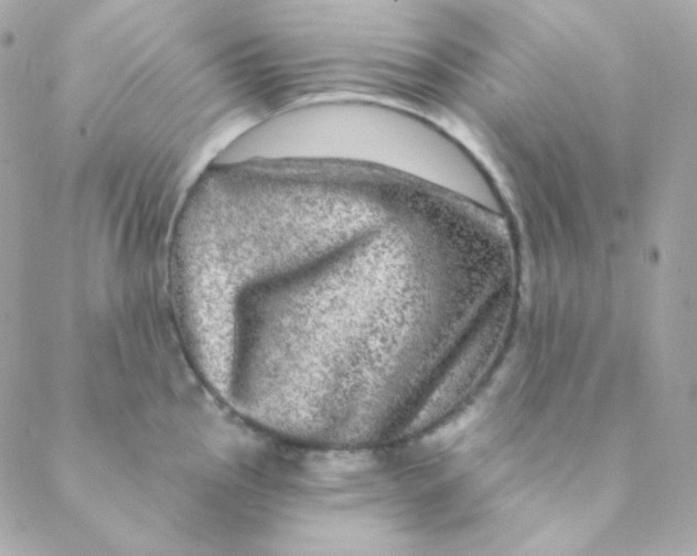 X0000088631145200706151911