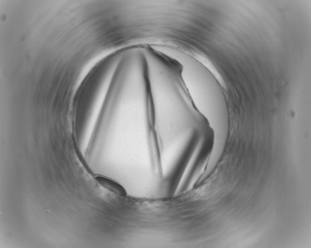 X0000088631148200706151911