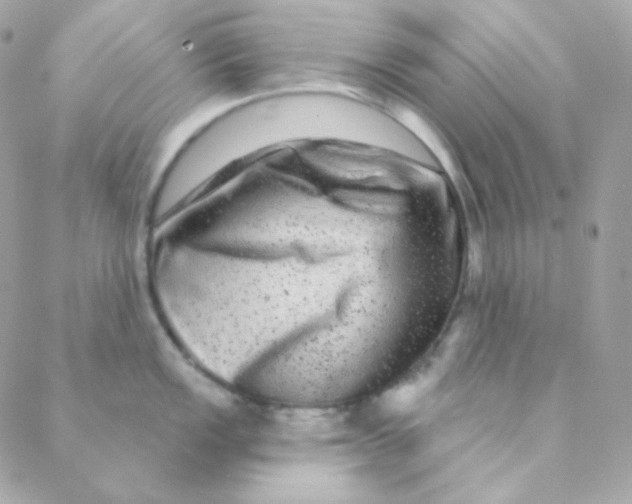 X0000088631149200706151911