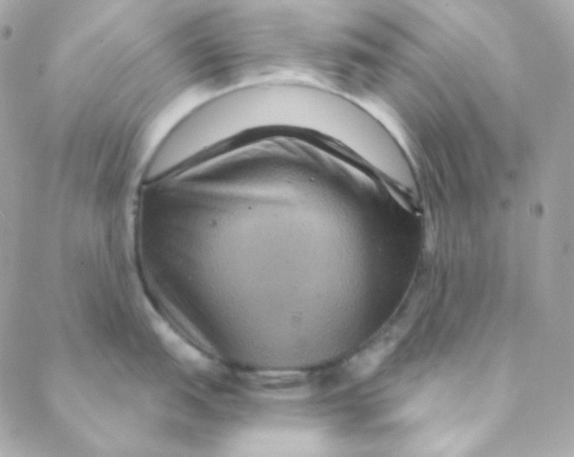X0000088631151200706151911