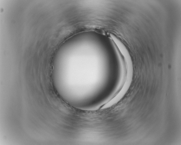 X0000088631153200706151910