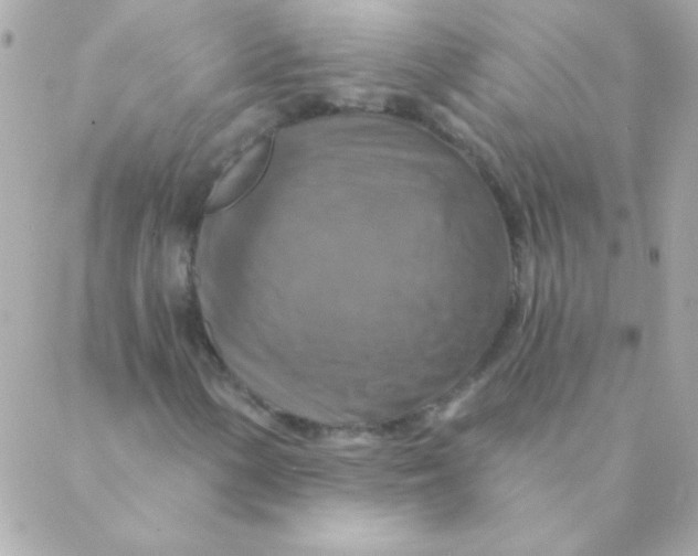 X0000088631154200706151910