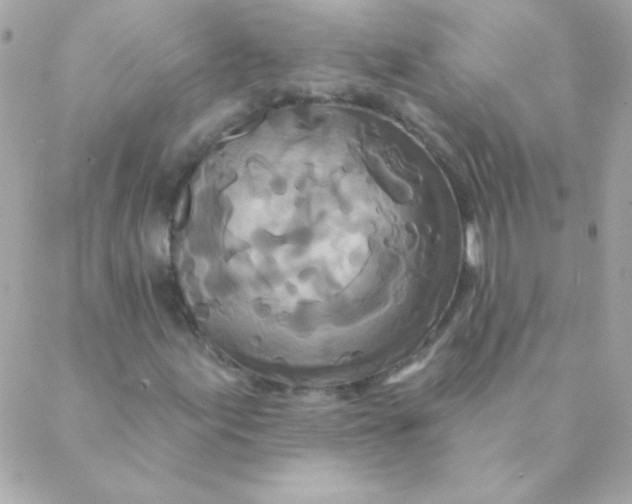 X0000088631155200706151910