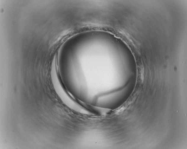 X0000088631157200706151910