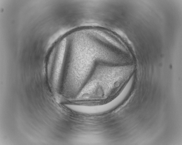 X0000088631167200706151910