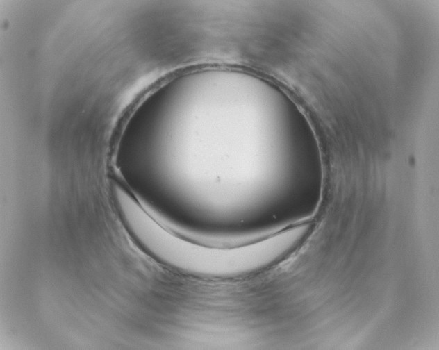 X0000088631168200706151910