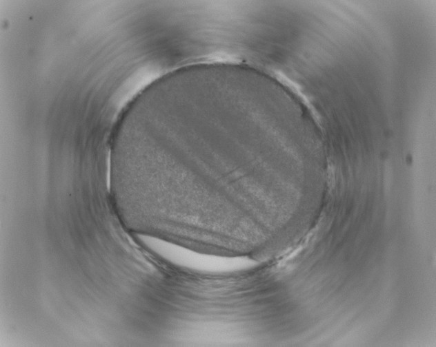 X0000088631171200706151910