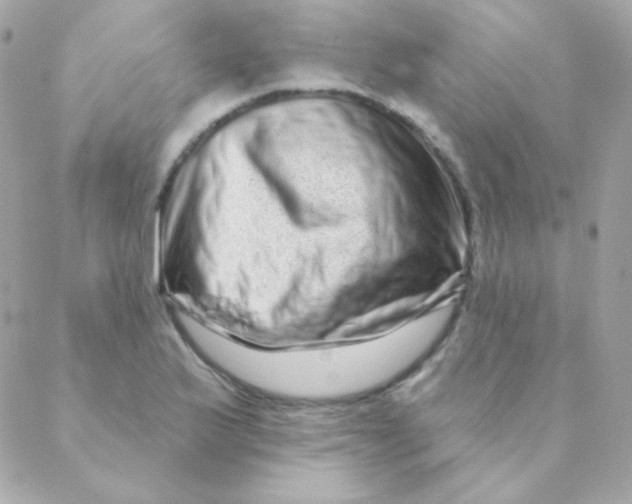 X0000088631175200706151910