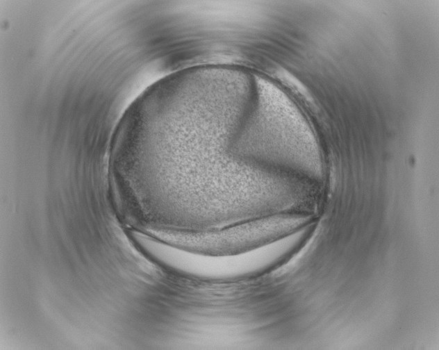 X0000088631178200706151910
