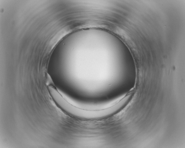 X0000088631185200706151909