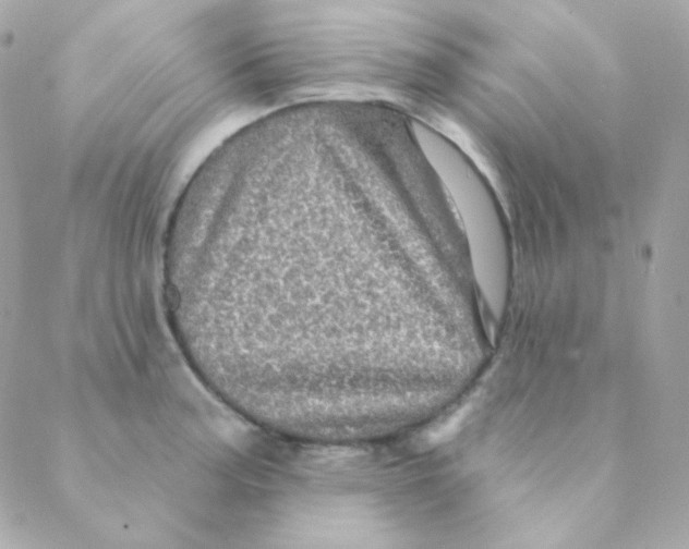 X0000088631187200706151909