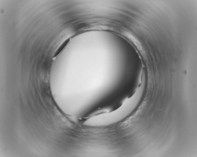 X0000088631193200706151909