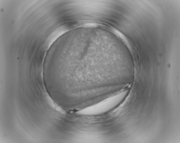 X0000088631194200706151909
