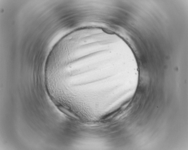 X0000088631199200706151909