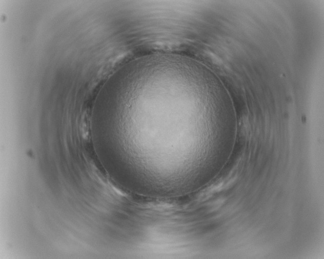 X0000088631202200706151908