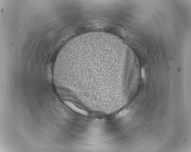 X0000088631203200706151908