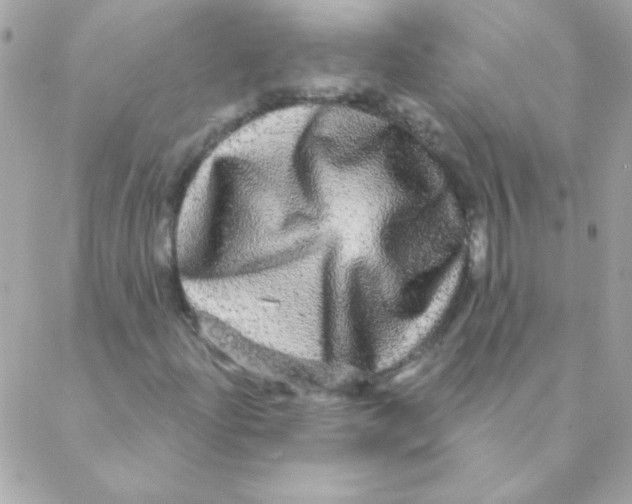 X0000088631204200706151908