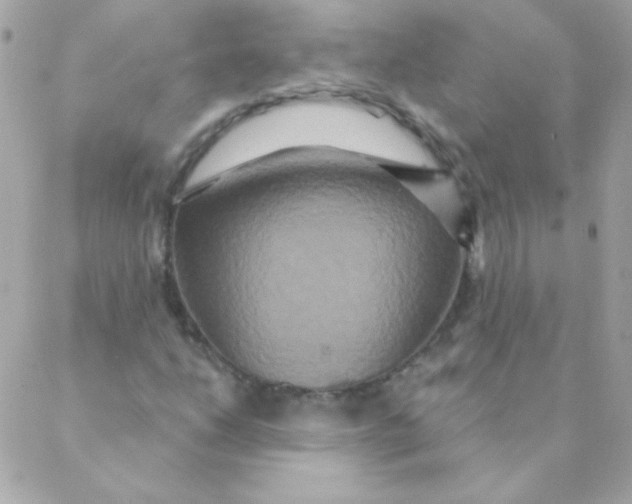 X0000088631206200706151908