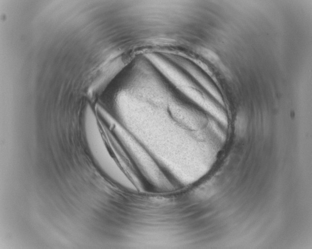 X0000088631209200706151909
