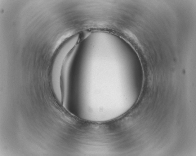 X0000088631218200706151909