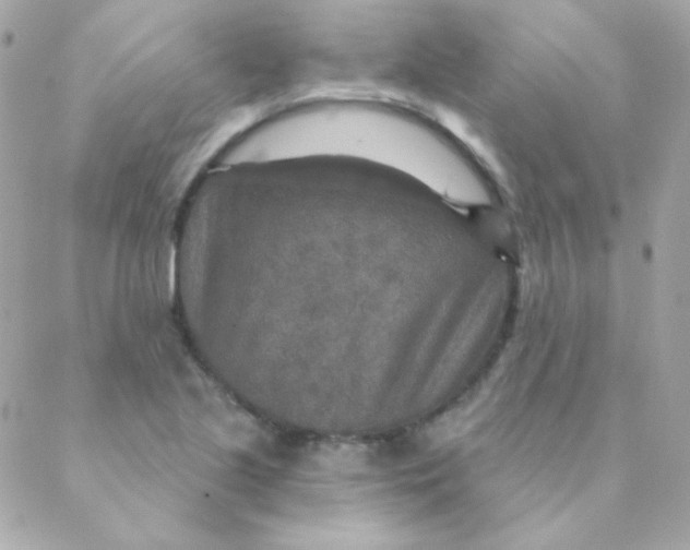 X0000088631221200706151909