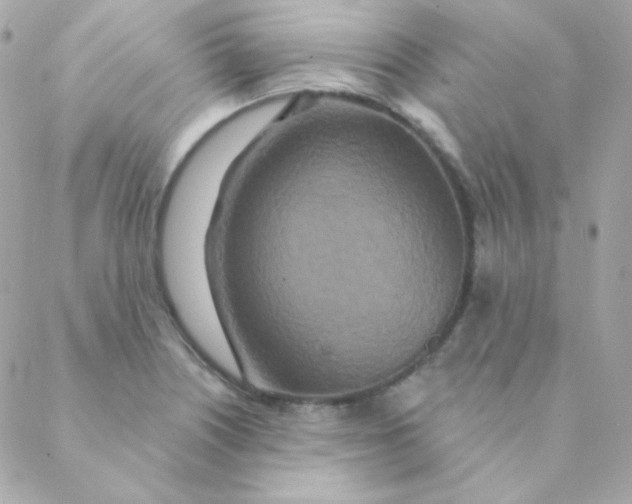X0000088631226200706151909