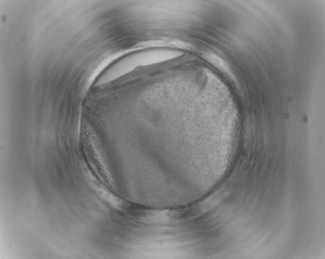 X0000088631228200706151909