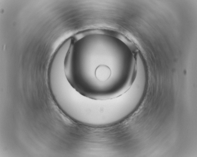 X0000088631230200706151909