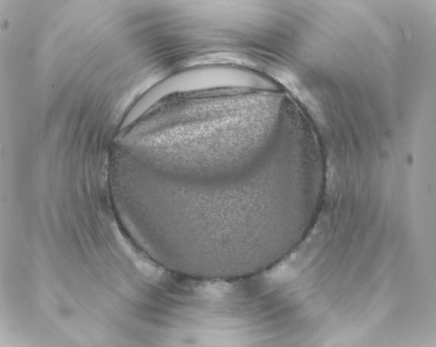 X0000088631233200706151909