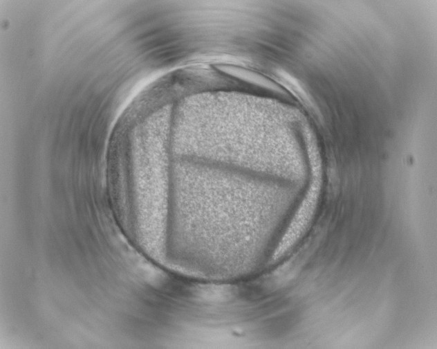 X0000088631236200706151909