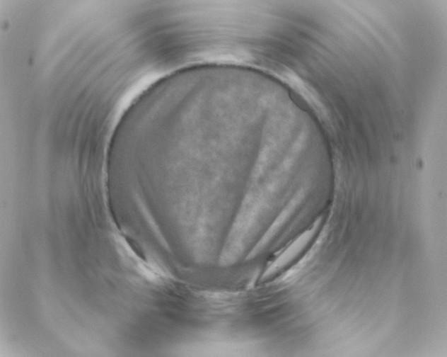 X0000088631240200706151909