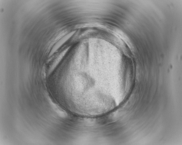 X0000088631241200706151909