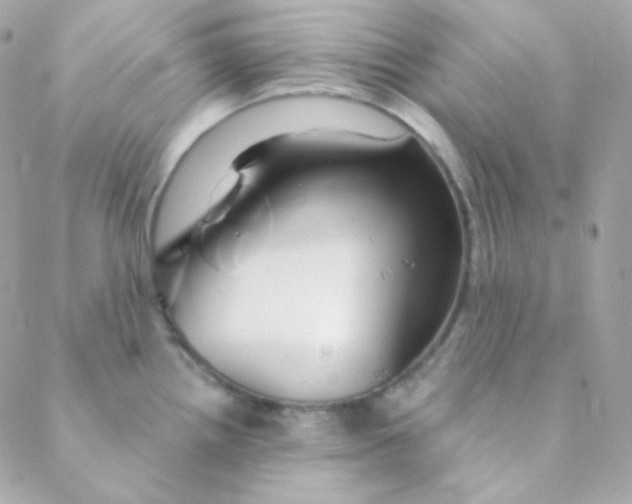 X0000088631242200706151909