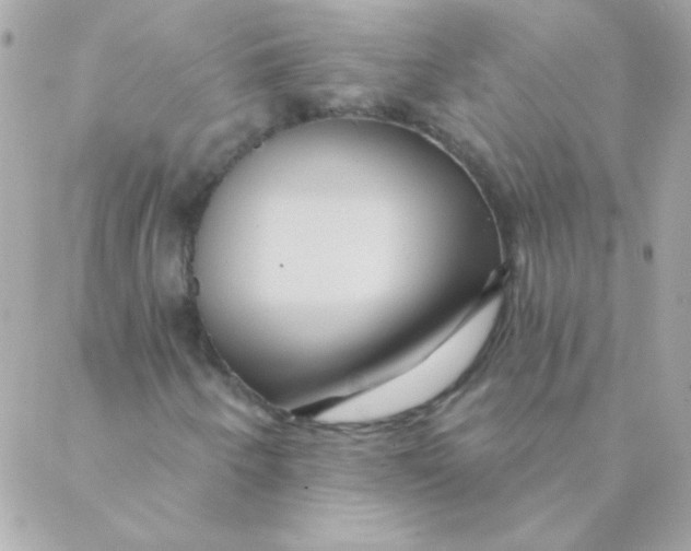 X0000088631250200706151908