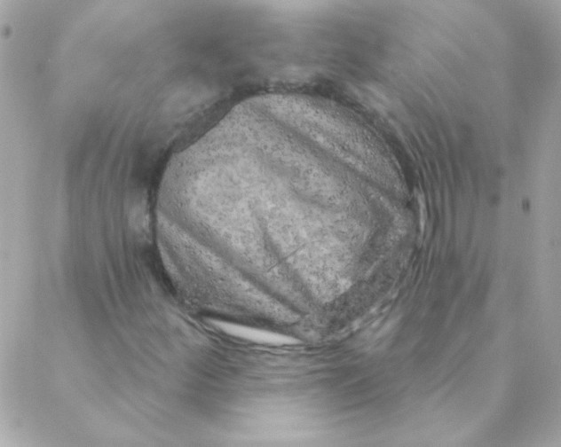 X0000088631252200706151908