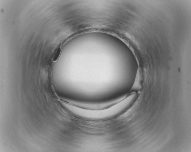 X0000088631257200706151908